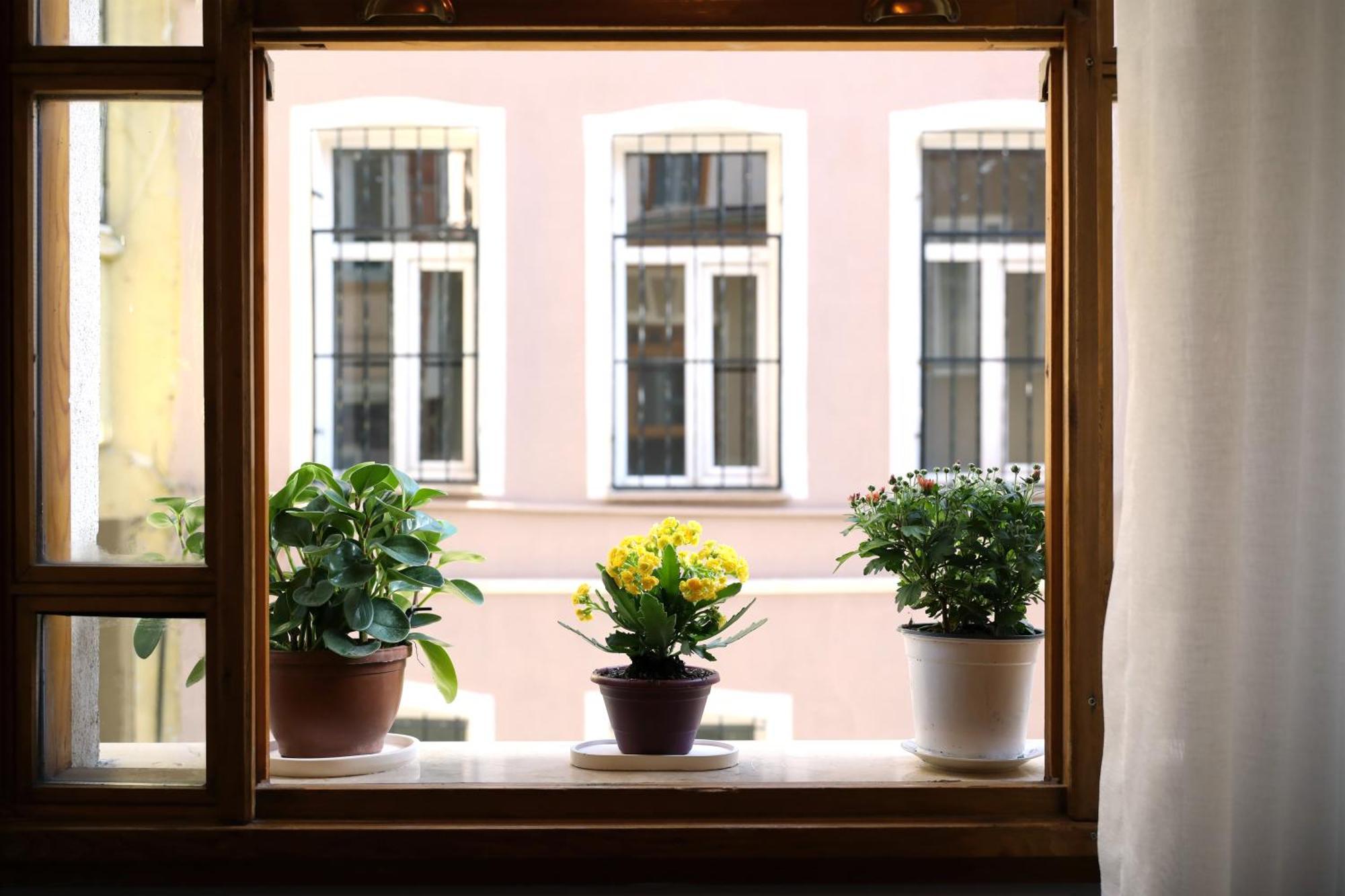 Narpera Taksim Boutique Hotel Istanbul Exterior foto